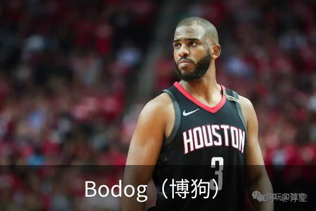 Bodog（博狗）公司介绍